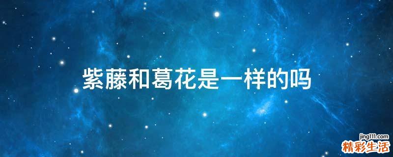 紫藤和葛花是一样的吗