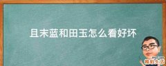 且末蓝和田玉怎么看好坏