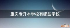 重庆专升本学校有哪些学校