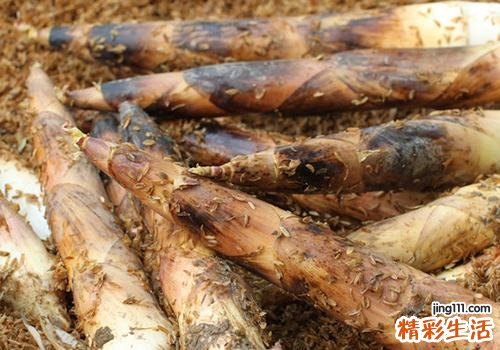 竹笋吃多了有什么不好 春笋吃了会导致发胖吗