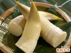 孕妇能吃竹笋吗