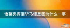 诸葛亮挥泪斩马谡是因为什么一事
