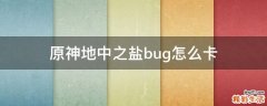 原神地中之盐bug怎么卡