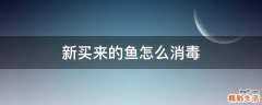 新买来的鱼怎么消毒