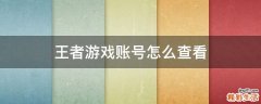 王者游戏账号怎么查看