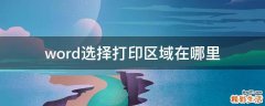 word选择打印区域在哪里
