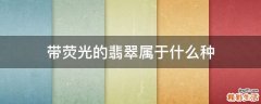带荧光的翡翠属于什么种