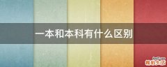 一本和本科有什么区别