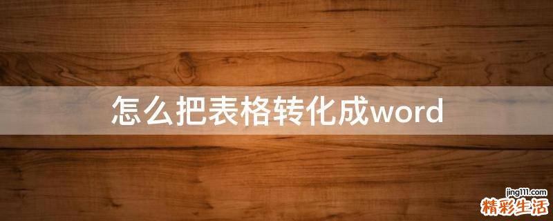 怎么把表格转化成word