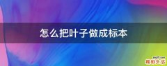 怎么把叶子做成标本