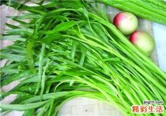 空心菜的营养价值 空心菜的功效