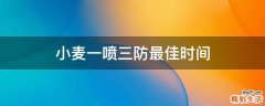 小麦一喷三防最佳时间