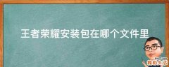 王者荣耀安装包在哪个文件里