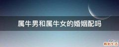 属牛男和属牛女的婚姻配吗