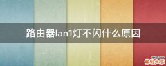 路由器lan1灯不闪什么原因