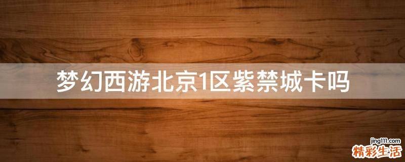 梦幻西游北京1区紫禁城卡吗