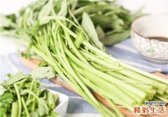 空心菜是吃叶还是吃竿 空心菜怎么摘洗
