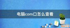 电脑com口怎么查看