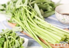 空心菜保存放冰箱可以吗 空心菜放冰箱能保存多久