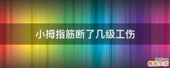 小拇指筋断了几级工伤