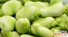 蚕豆不能和什么同食