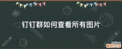 钉钉群如何查看所有图片