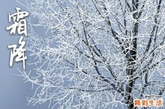 2023年初霜是什么时候 2023年秋季初霜期大约是几月