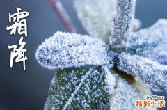 2023年霜降节气是哪一天 2023年霜降交节时间