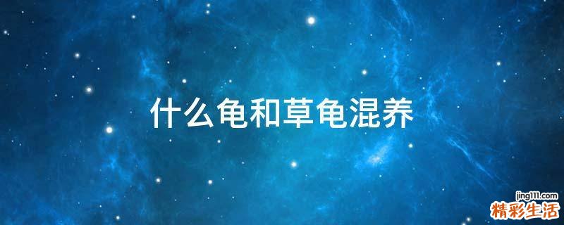 什么龟和草龟混养