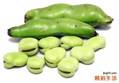 蚕豆吃了有什么好处 食用蚕豆需要注意什么