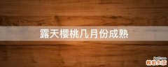 露天樱桃几月份成熟
