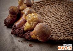 松茸泡酒怎么泡 新鲜松茸怎么泡酒