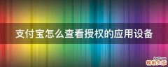 支付宝怎么查看授权的应用设备
