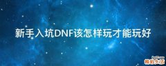 新手入坑DNF该怎样玩才能玩好