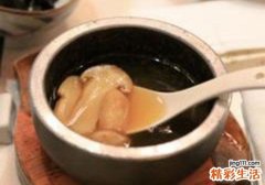 松茸是什么东西
