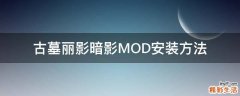 古墓丽影暗影MOD安装方法