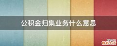 公积金归集业务什么意思