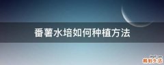 番薯水培如何种植方法
