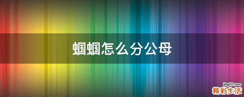 蝈蝈怎么分公母