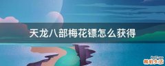 天龙八部梅花镖怎么获得
