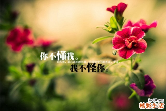 6 金雀根