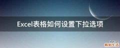 Excel表格如何设置下拉选项