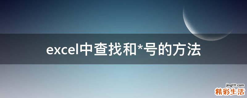 excel中查找和*号的方法
