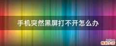 手机突然黑屏打不开怎么办