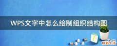 WPS文字中怎么绘制组织结构图