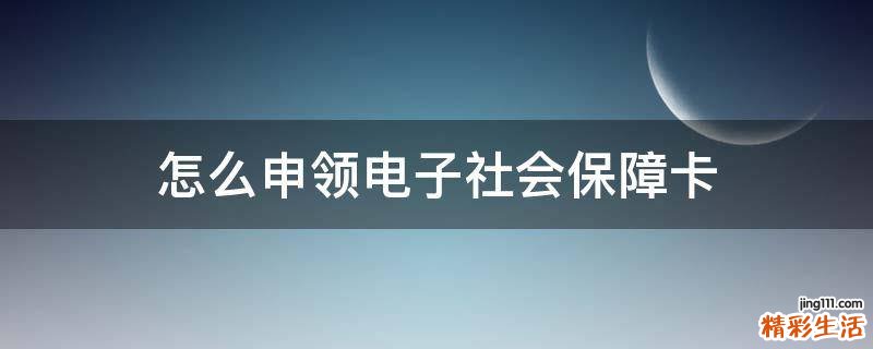 怎么申领电子社会保障卡