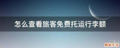怎么查看旅客免费托运行李额