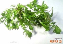 荠菜二岁宝宝可以吃吗 有什么好处？能吃多少？