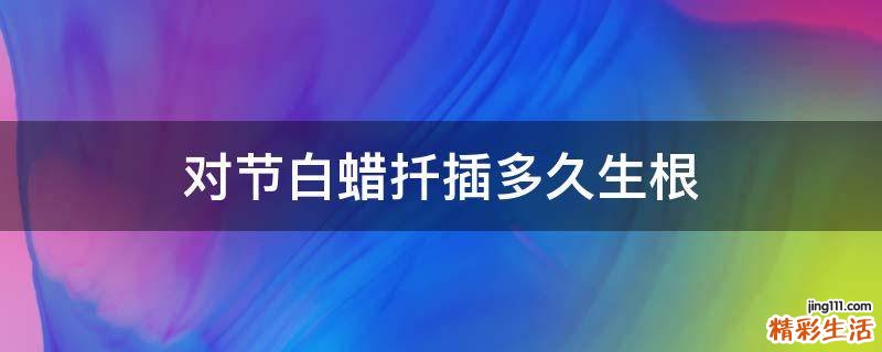 对节白蜡扦插多久生根