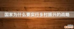 国家为什么要实行乡村振兴的战略